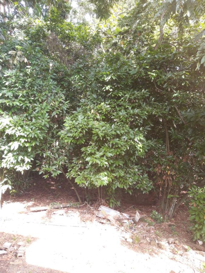 Cocoa Cabana Scarborough Bagian luar foto